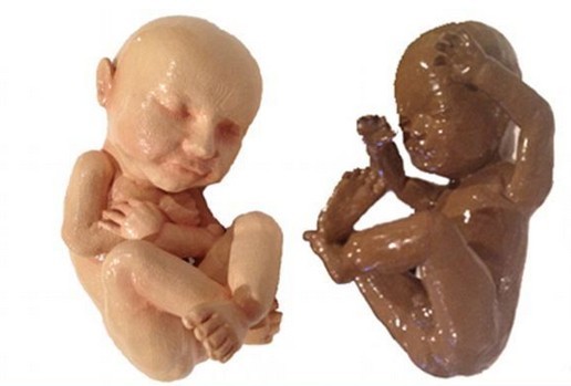 提前见父母，3D打印机可复制女性子宫中胎儿模型