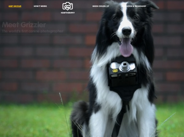 尼康推出相机3D打印智能外壳让狗狗也来拍照